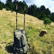 Tourenski- und Nordic-Walking-Stöcke Carbon Mountain King