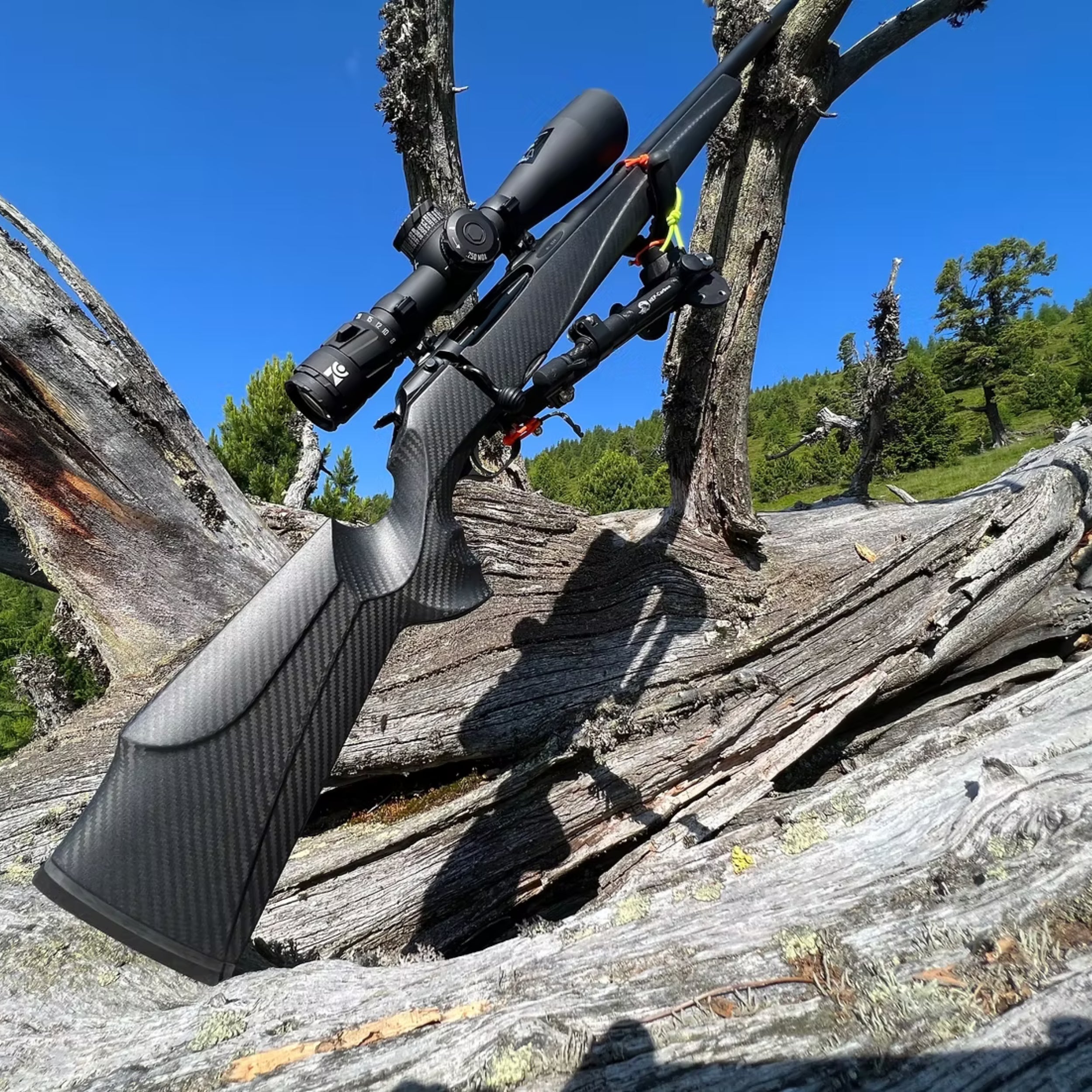 Carbon Titan Zweibein Carinthia