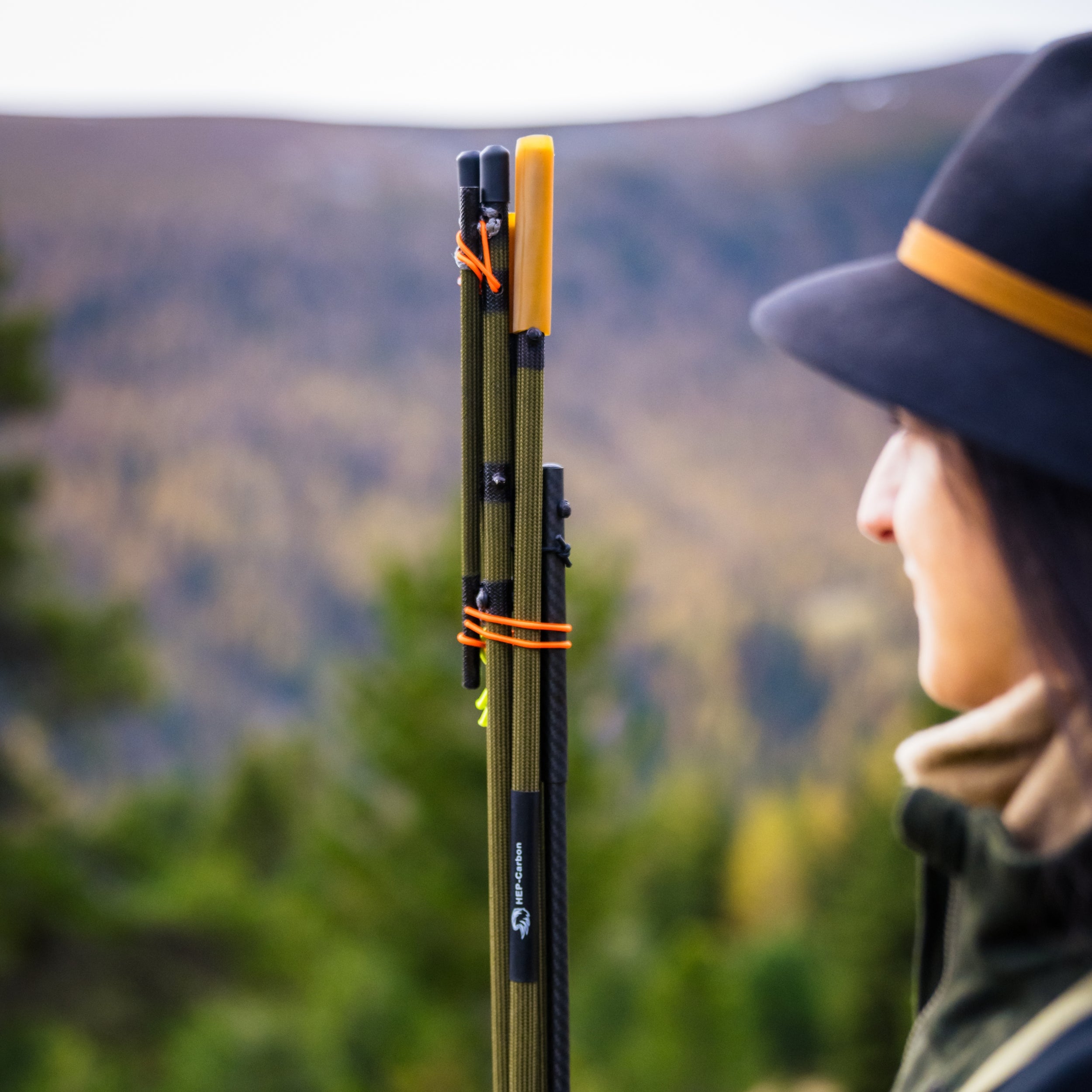 Carbon Ziel- und Bergstock Ultralight Silent