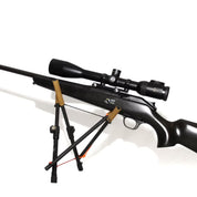 Carbon Zweibein Alpine