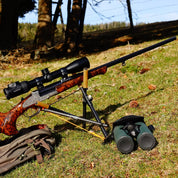 Carbon Zweibein Alpine