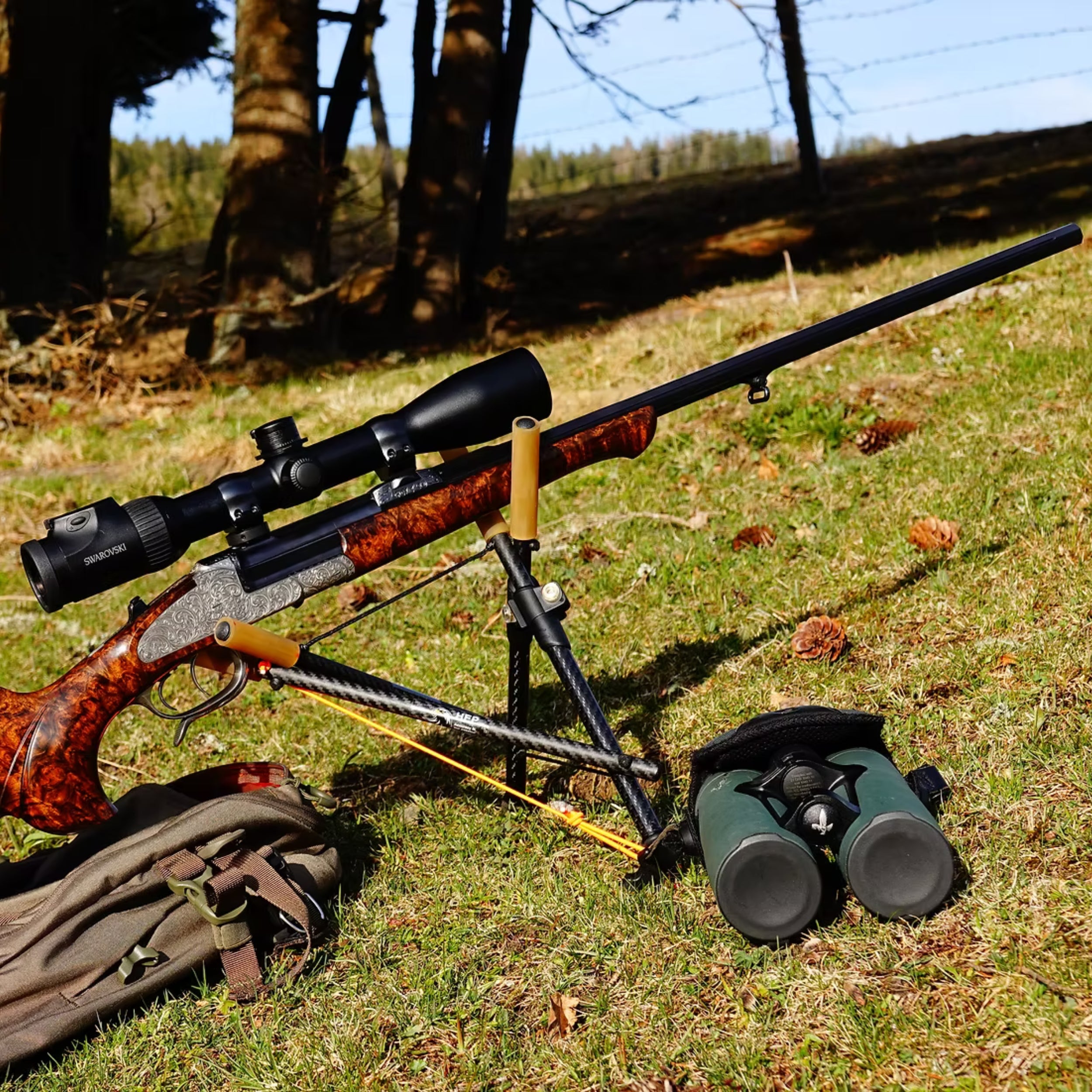 Carbon Zweibein Alpine