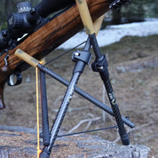 Carbon Zweibein Alpine