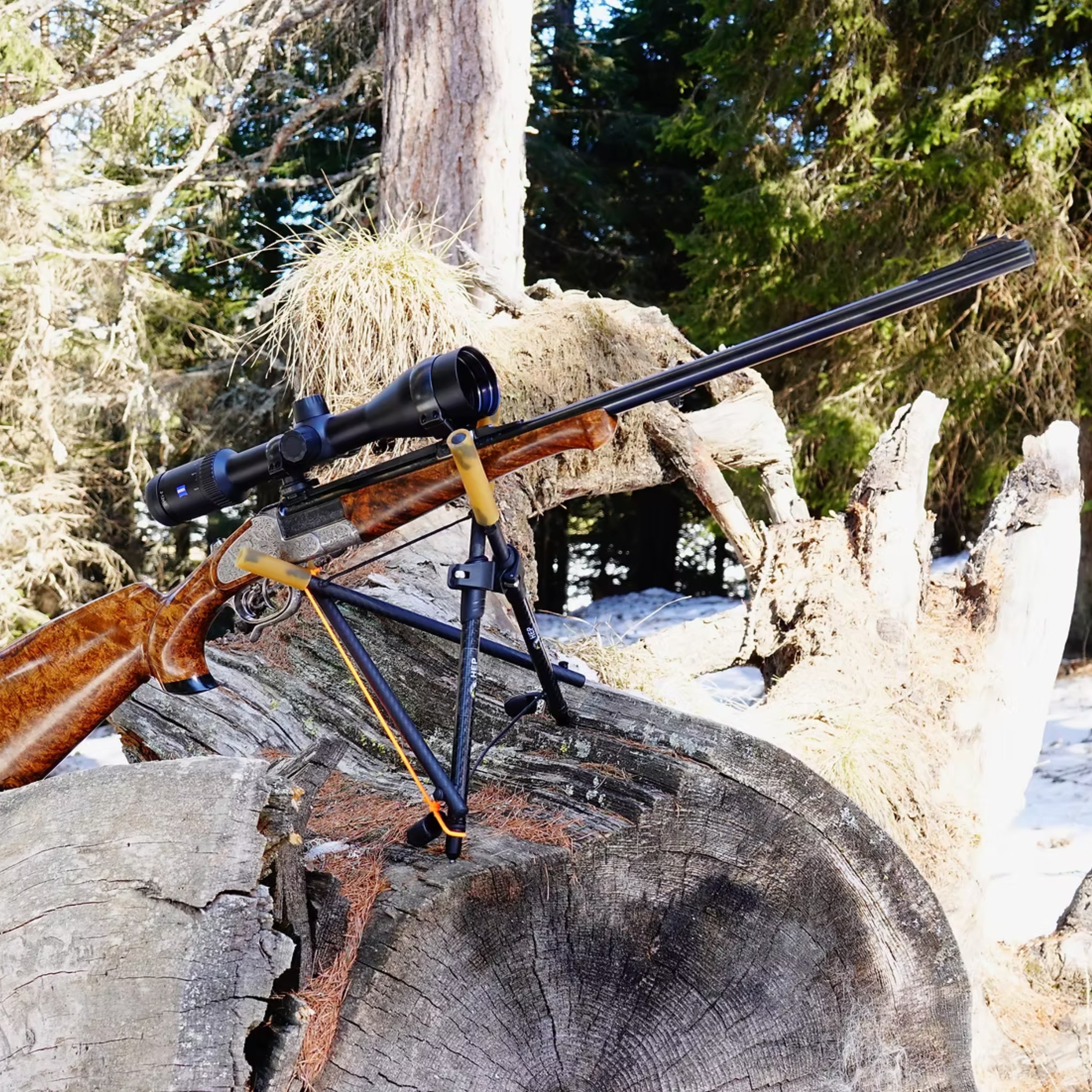 Carbon Zweibein Alpine