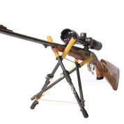 Carbon Zweibein Alpine