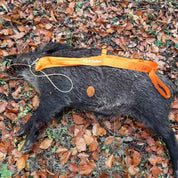 Wildbergehilfe Pullmaster 3.0