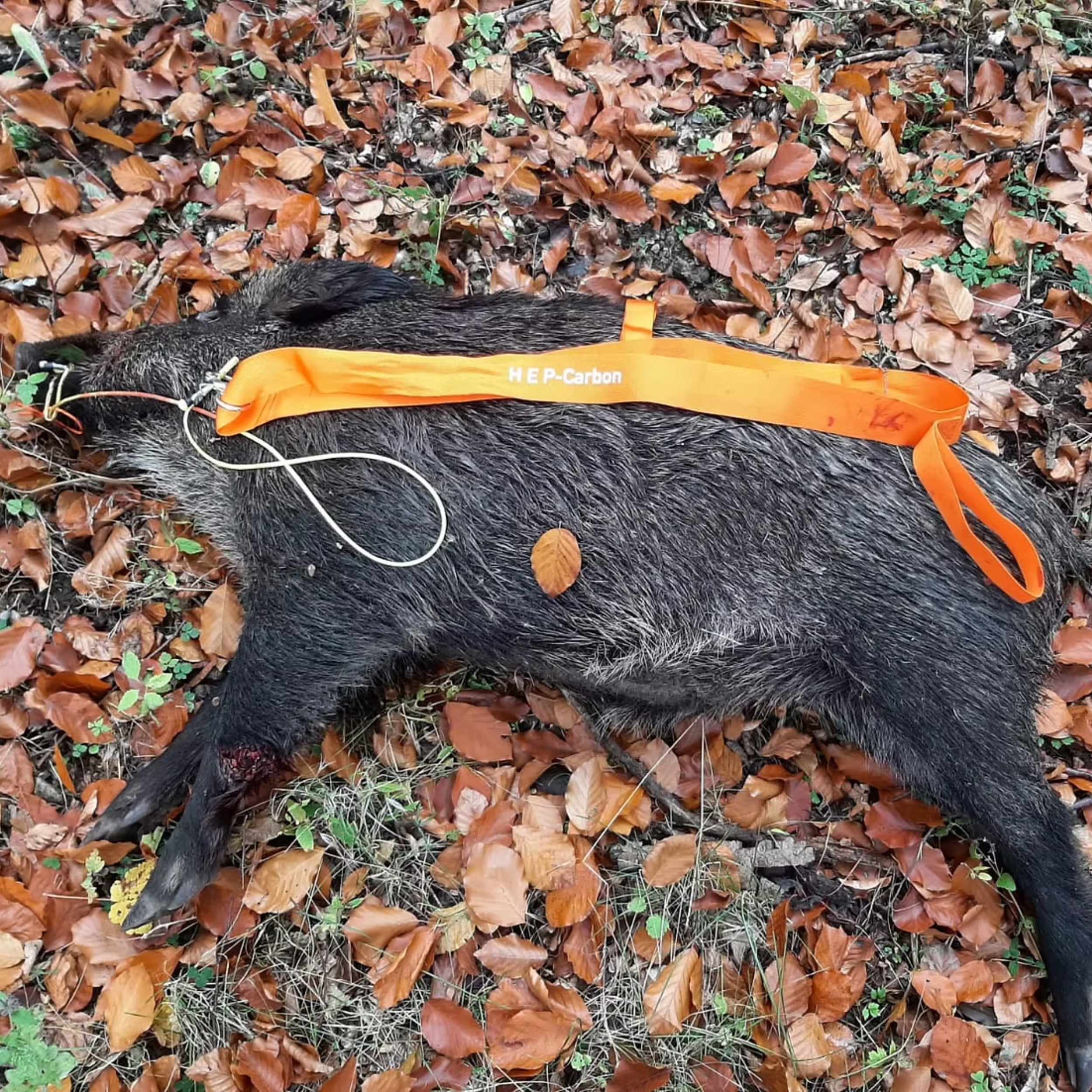 Wildbergehilfe Pullmaster 3.0