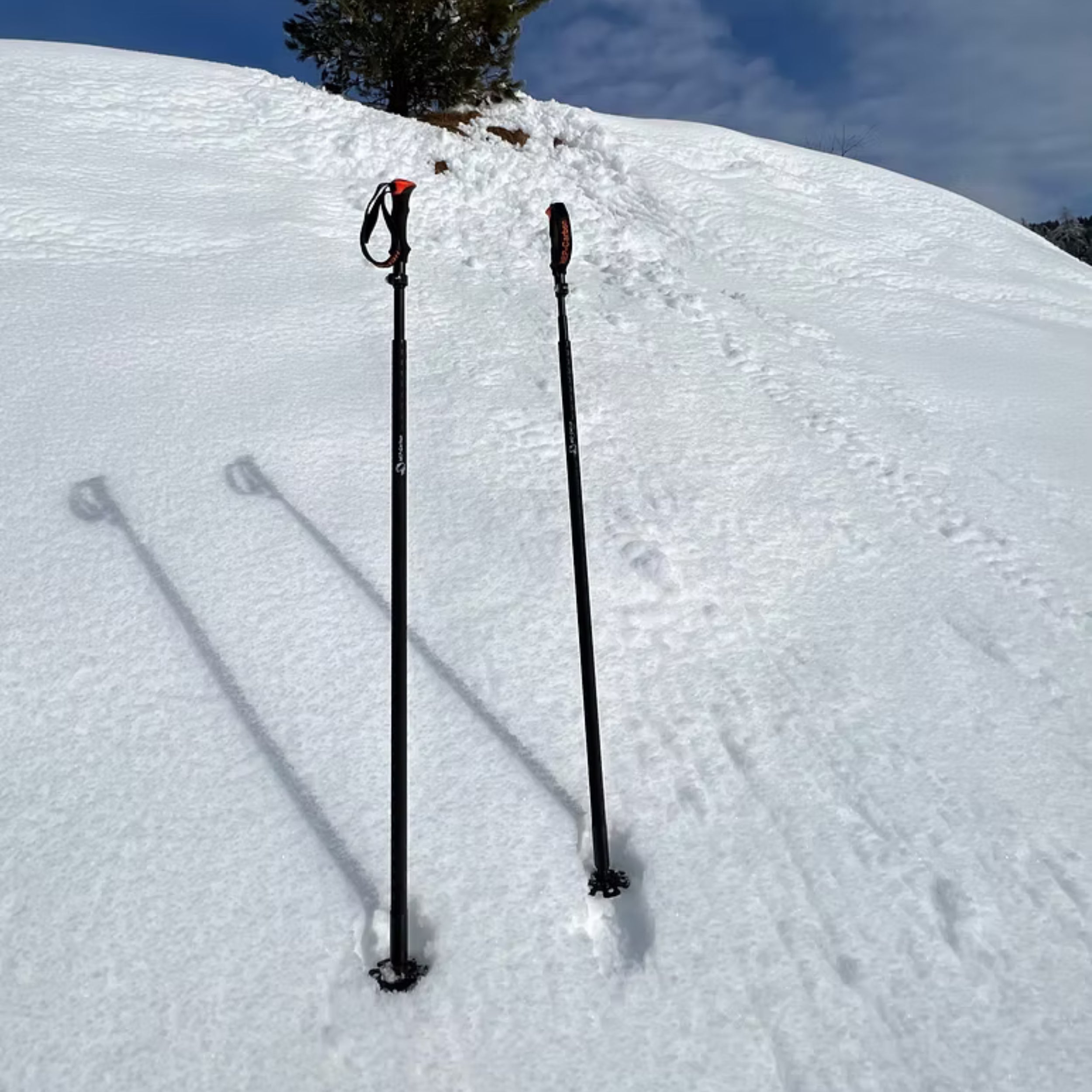 Berg- und Nordic-Walking-Stock Hybrid 2.0