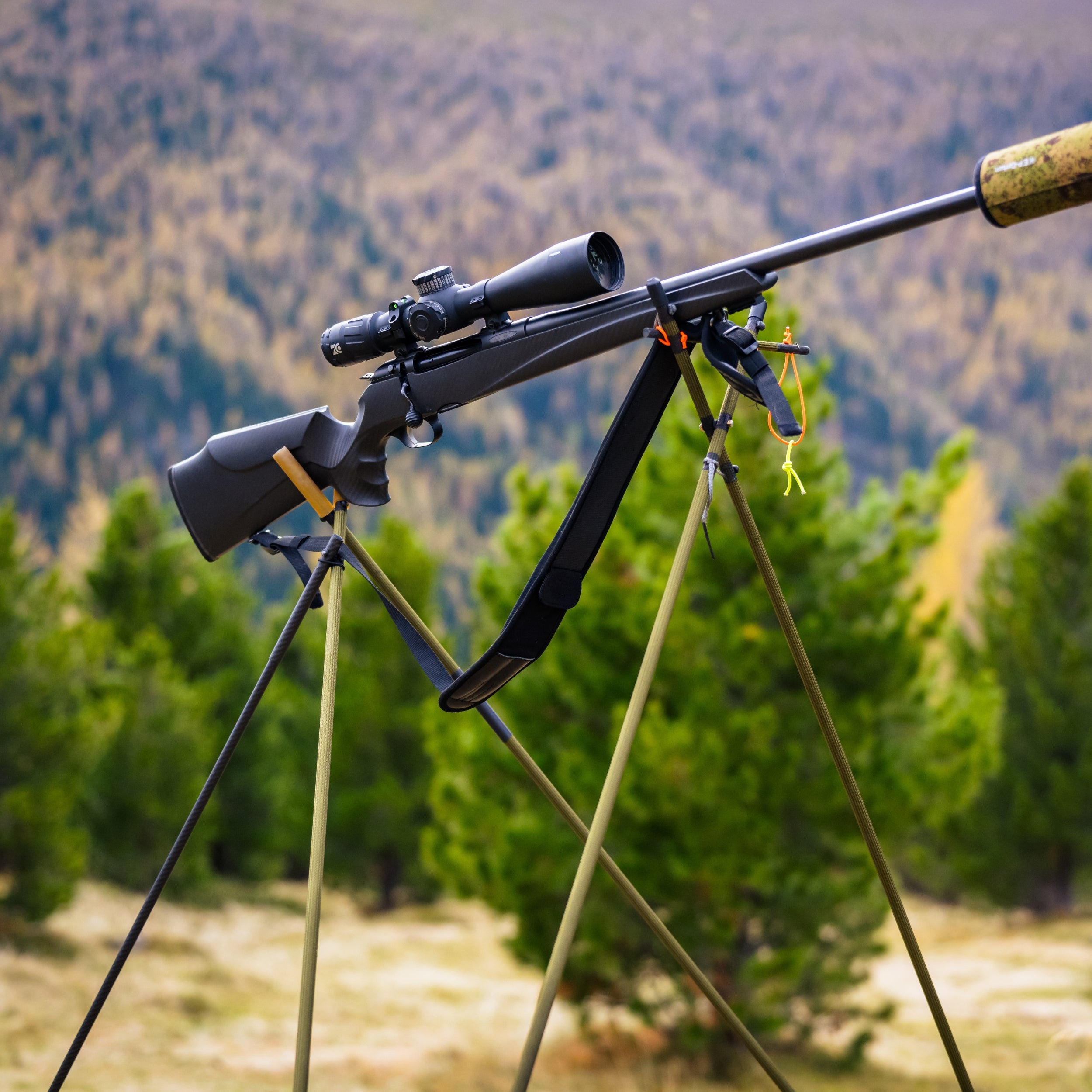 Carbon Ziel- und Bergstock Ultralight Silent