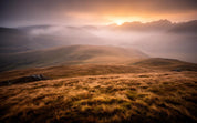 €50 Highland Gift Card